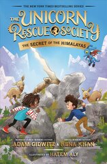 Secret of the Himalayas hind ja info | Noortekirjandus | kaup24.ee