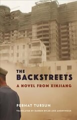Backstreets: A Novel from Xinjiang цена и информация | Рассказы, новеллы | kaup24.ee