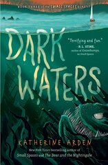 Kristine Potter: Dark Waters цена и информация | Книги для подростков и молодежи | kaup24.ee