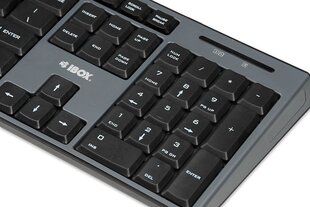 Клавиатура и мышь iBox, серая цена и информация | Клавиатура с игровой мышью 3GO COMBODRILEW2 USB ES | kaup24.ee