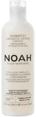 Puhastav kõõmavastane šampoon Noah 250 ml цена и информация | Шампуни | kaup24.ee