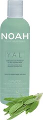 Омолаживающий, увлажняющий шампунь для волос с гиалуроновой кислотой и шалфеем Noah 250 мл цена и информация | Шампуни | kaup24.ee