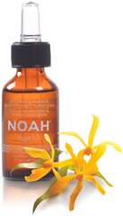 Juuste otsa seerum kuivadele ja kahjustatud juustele Noah 20 ml цена и информация | Средства для укрепления волос | kaup24.ee