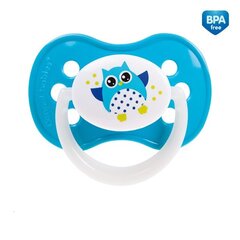 Silikoonist sümmeetriline lutt ASSORTED CANPOL Owl 6-18m 22/569 цена и информация | Пустышки | kaup24.ee