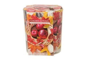 Ароматическая свеча Golden Autum цена и информация | Подсвечники, свечи | kaup24.ee