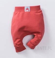 Штаны для мальчика Nini цена и информация | Штаны для младенцев | kaup24.ee