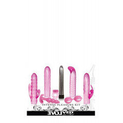 Intense pleasure kit pink hind ja info | Sekslelude komplektid | kaup24.ee