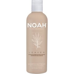 Toitev šampoon bambuse lehtedega Noah 250 ml hind ja info | Šampoonid | kaup24.ee