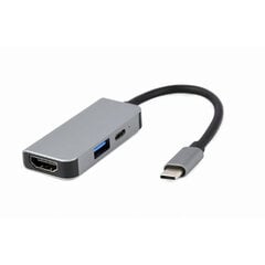 Dokstacija Gembird USB Type-C 3-in-1 Silver цена и информация | Адаптер Aten Video Splitter 2 port 450MHz | kaup24.ee