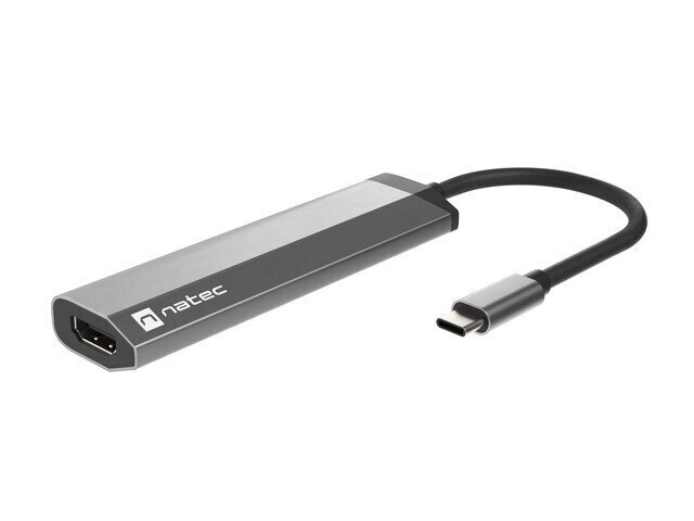 Adapter Natec Multi-Port Fowler Slim, USB Type-C hind ja info | USB jagajad, adapterid | kaup24.ee