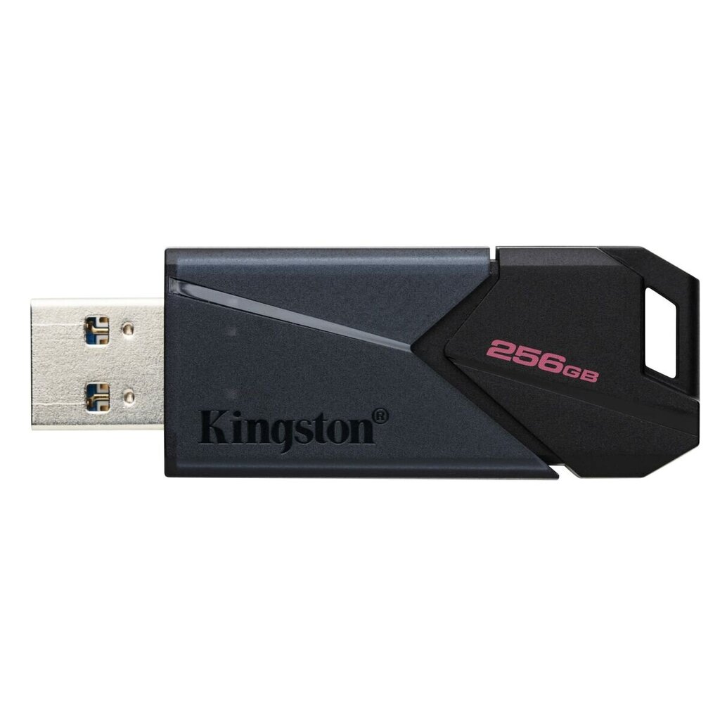 Kingston DTXON/256GB 256 GB USB-A цена и информация | Mälupulgad | kaup24.ee