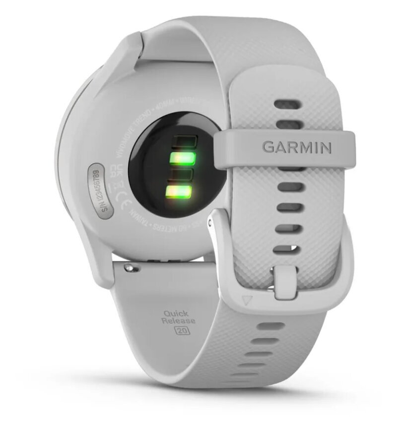 Garmin vívomove® Trend Silver/Mist Gray цена и информация | Nutikellad (smartwatch) | kaup24.ee