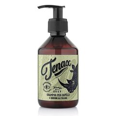 Šampoon meestele igapäevaseks kasutamiseks Tenax 250 ml цена и информация | Шампуни | kaup24.ee