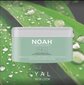 Juuksemask hüalurooniga Noah 200 ml цена и информация | Maskid, õlid, seerumid | kaup24.ee