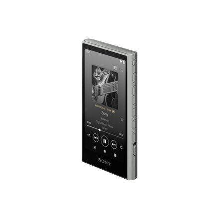 MP3-mängija Sony Walkman NW-A306 32 GB, must цена и информация | MP3-mängijad, MP4-mängijad | kaup24.ee