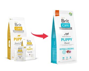 Brit Care hüpoallergeenne kuivtoit noortele kutsikatele, 12 kg (uus pakend) hind ja info | Kuivtoit koertele | kaup24.ee