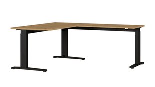 Письменный стол 8513, коричневый цвет цена и информация | Компьютерные, письменные столы | kaup24.ee