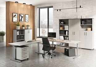 Письменный стол 4252, серый цвет цена и информация | Компьютерные, письменные столы | kaup24.ee