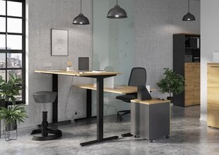 Письменный стол 4244, коричневый цвет цена и информация | Компьютерные, письменные столы | kaup24.ee