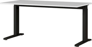 Письменный стол 4240, серый цвет цена и информация | Компьютерные, письменные столы | kaup24.ee