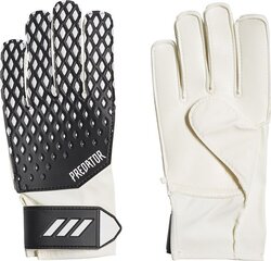 Väravavahikindad Adidas Predator 20 Training Jr, valge, must hind ja info | Väravavahi kindad | kaup24.ee