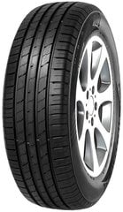 Minerva EcoSpeed 2 SUV 275/35R21 103 Y XL hind ja info | Suverehvid | kaup24.ee