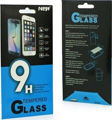 Защитное стекло PremiumGlass 9H для Xiaomi Redmi Note 9 Pro Max цена и информация | Защитные пленки для телефонов | kaup24.ee