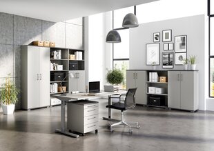 Офисный шкаф 4250, серый цвет цена и информация | Шкафы | kaup24.ee