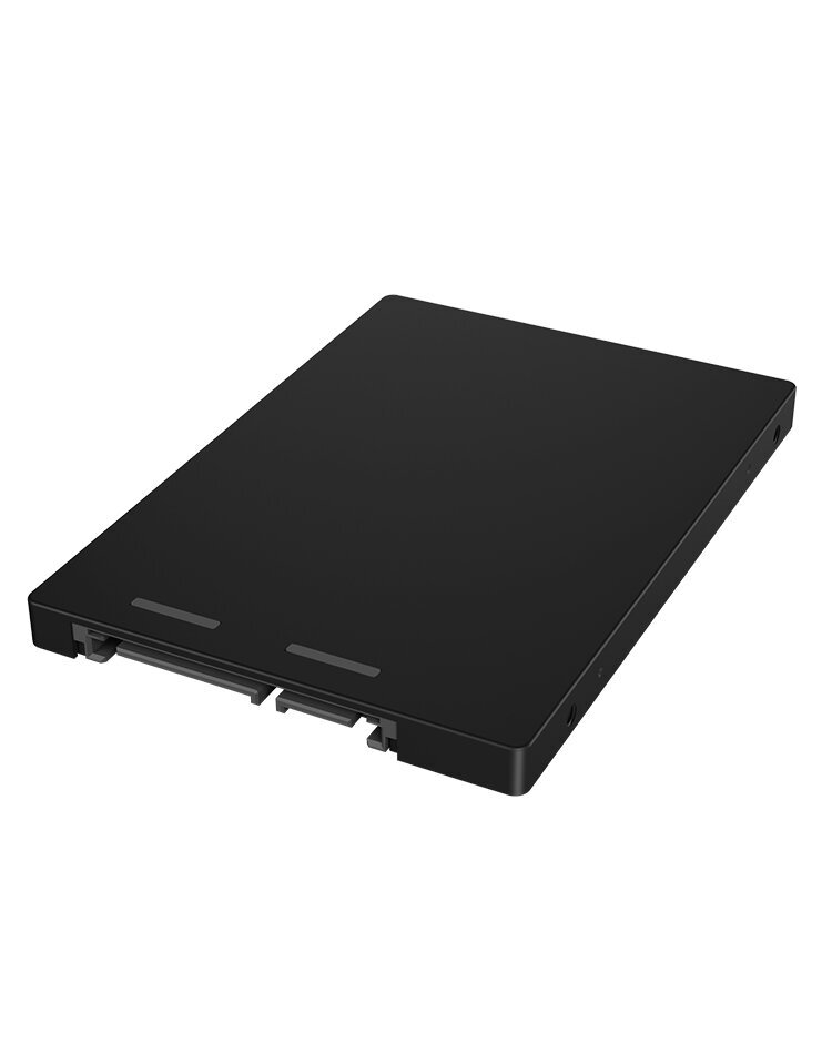 IcyBox IB-M2S253 hind ja info | Väliste kõvaketaste ümbrised | kaup24.ee