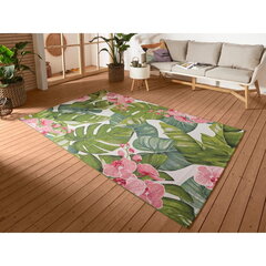 Hanse Home vaip Tropical 160x235 cm hind ja info | Vaibad | kaup24.ee