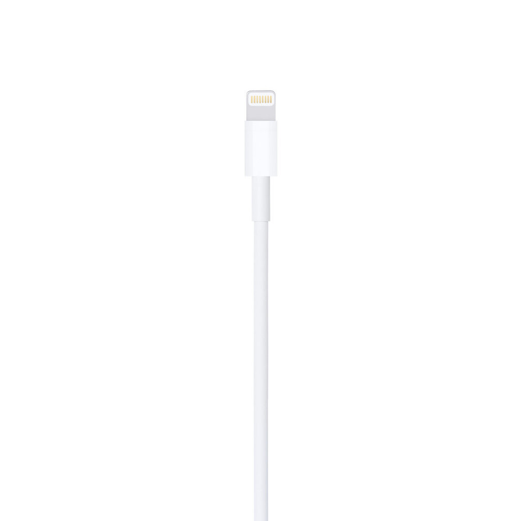 USB to Lightning Cable (1m) hind ja info | Mobiiltelefonide kaablid | kaup24.ee