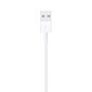 USB to Lightning Cable (1m) hind ja info | Mobiiltelefonide kaablid | kaup24.ee