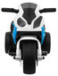 BMW S1000 RR MINI MINI kolmerattaline jalgratas lastele, sinine hind ja info | Laste elektriautod | kaup24.ee