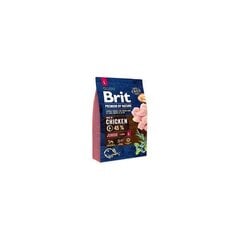 Brit Premium by Nature Junior L koeratoit 15 kg цена и информация |  Сухой корм для собак | kaup24.ee