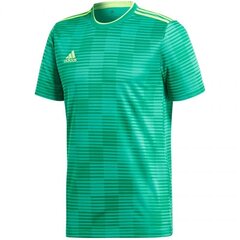 Poiste T-särk Adidas Condivo 18 Junior, roheline hind ja info | Poiste särgid | kaup24.ee