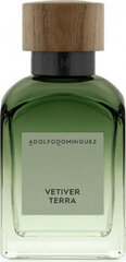 Adolfo Dominguez Vetiver Terra Eau De Perfume Spray 120ml цена и информация | Мужские духи | kaup24.ee