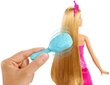 Valguse ja heliga nukk Chelsea Barbie Dreamtopia Brush hind ja info | Tüdrukute mänguasjad | kaup24.ee