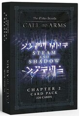 Steam & Shadow The Elder Scrolls Call to Arms Chapter цена и информация | Атрибутика для игроков | kaup24.ee