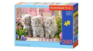 Пазл Castorland Three Grey Kittens 260 частей цена и информация | Пазлы | kaup24.ee