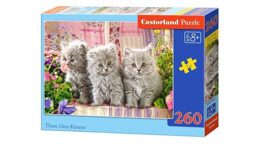 Pusle Castorland "Three Grey Kittens", 260 osa цена и информация | Pusled | kaup24.ee