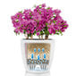 LECHUZA taimekast "CLASSICO Color 18 ALL-IN-ONE", valge цена и информация | Dekoratiivsed lillepotid | kaup24.ee