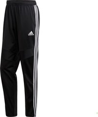 SWEATPANTS ADIDAS PERFORMANCE TIRO19 PES PNTY D95925 цена и информация | Шорты для мальчиков | kaup24.ee