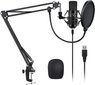 Mikrofoni komplekt цена и информация | Mikrofonid | kaup24.ee