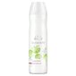 Taastav šampoon Wella Professionals Elements Renewing 250 ml hind ja info | Šampoonid | kaup24.ee