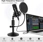 Yotto Mikrofon, professionaalne 192 kHz / 24-bitine koos mikrofonialusega цена и информация | Mikrofonid | kaup24.ee