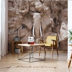 Consalnet Tapeet Elephant 416 x 254 cm 10115VEXXXL цена и информация | Фотообои | kaup24.ee