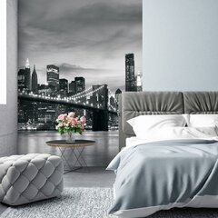 Consalnet Fototapeet New York 254 x 184 cm 011V4 цена и информация | Фотообои | kaup24.ee