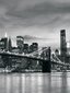 Consalnet Fototapeet New York 254 x 184 cm 011V4 цена и информация | Fototapeedid | kaup24.ee