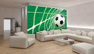 Consalnet Fototapeet Football 208 x 146 cm 015VEXL цена и информация | Фотообои | kaup24.ee