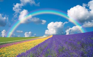 Consalnet Fototapeet Rainbow 312 x 219 cm 018VEXXL цена и информация | Фотообои | kaup24.ee